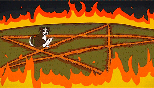 139574ba5c8f14846f891d38b9efa30621302c81r1-500-286_hq.gif