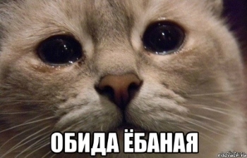 1404046517_101200095.webp