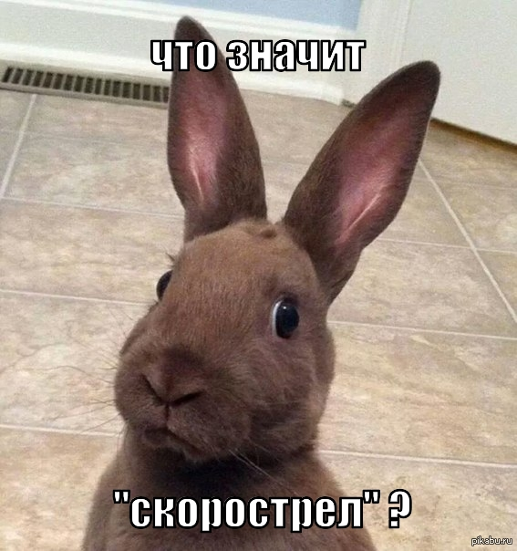 1407003795_927155157.webp