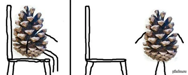14131254128589.webp