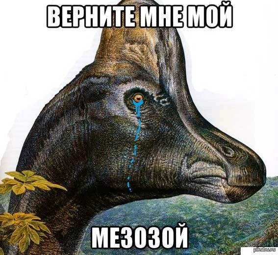 1419789738_1849213866.webp