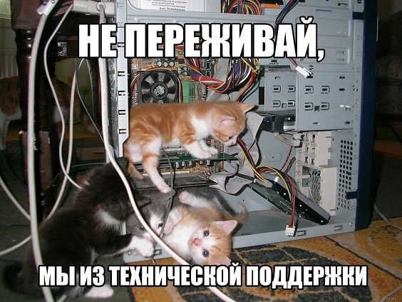 1424013224_2076056322.webp