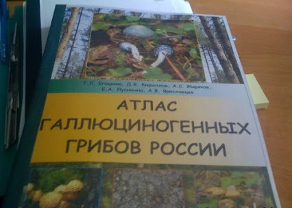 1442226045_855613771.webp