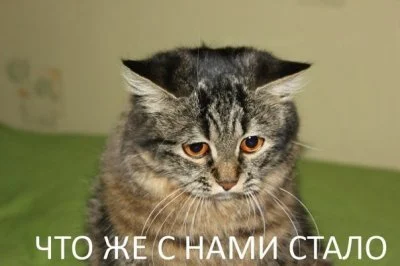 !1443218449129855197.webp