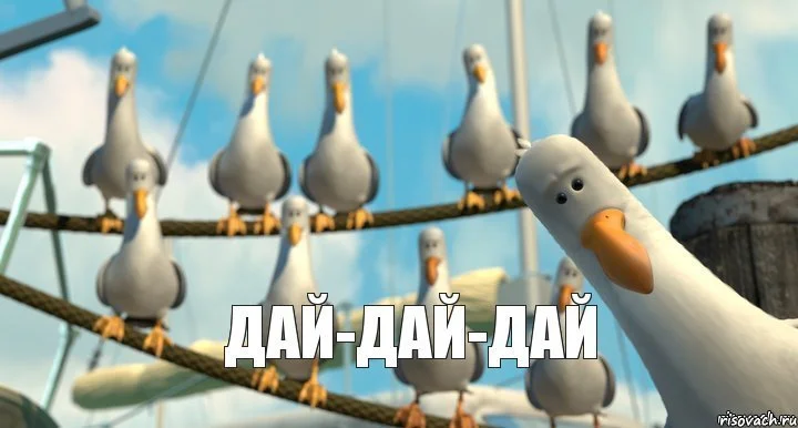 1444495340184089584.webp