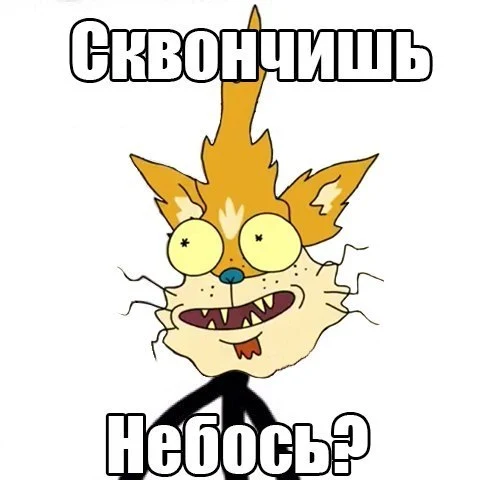 1444675551111525545.webp
