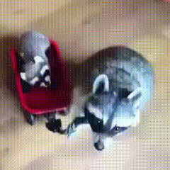 1447704534_594128990.gif