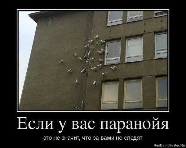 1469123778122070673.webp