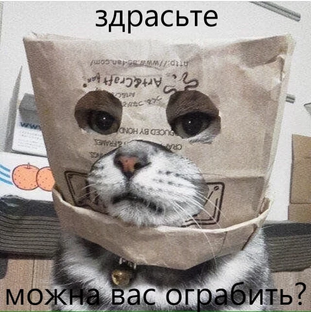 1474214709277129370.webp