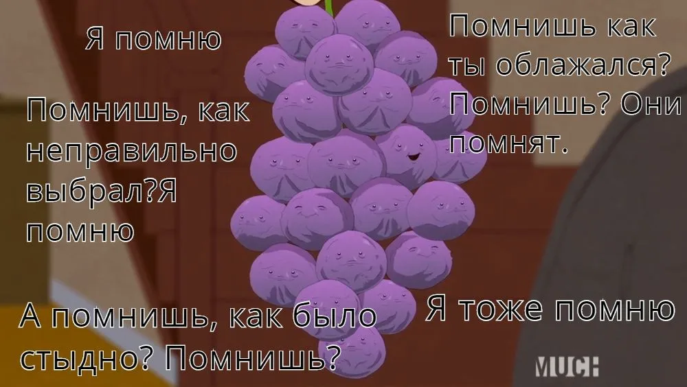 147783563212648068.webp