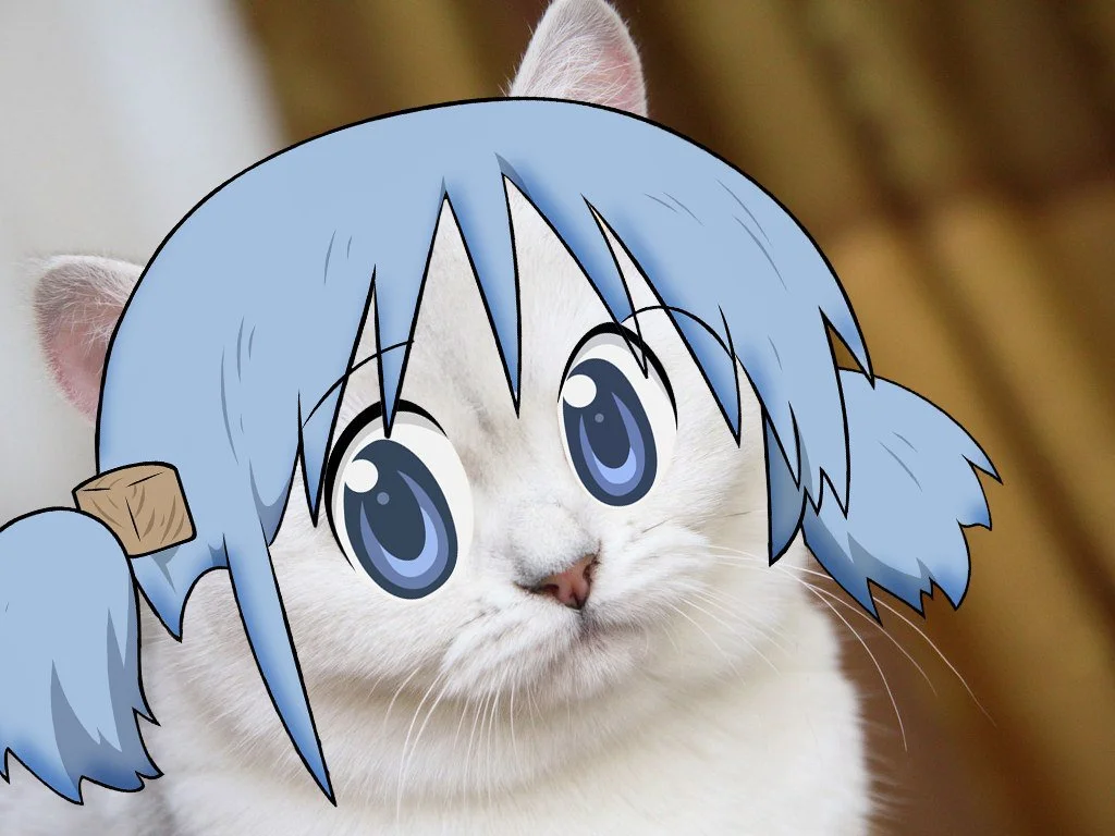 14970121457670.webp
