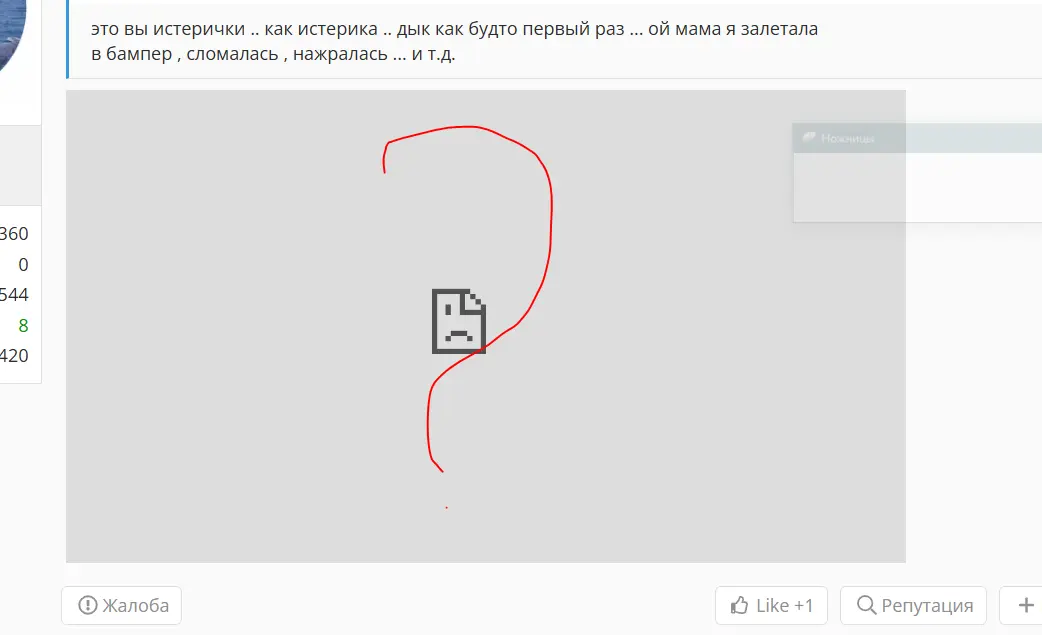 15.webp
