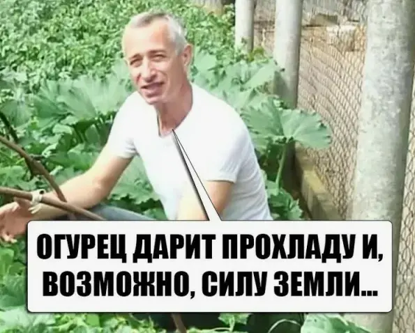 15.webp