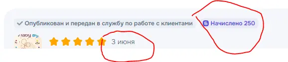 15.webp