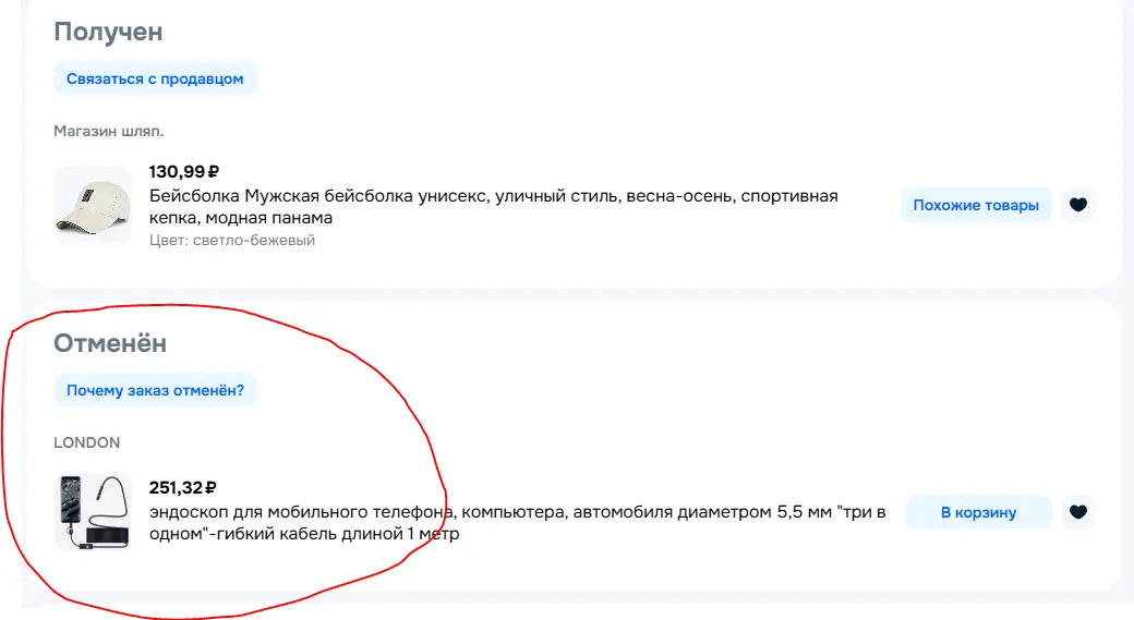 15.webp