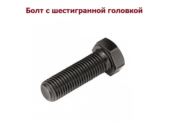 15.webp