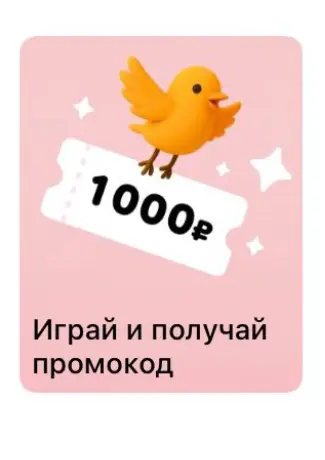 15.webp