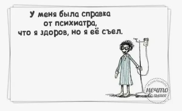 15.webp