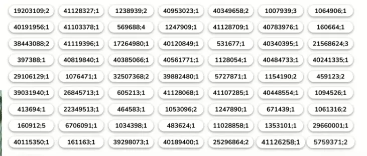 15.webp