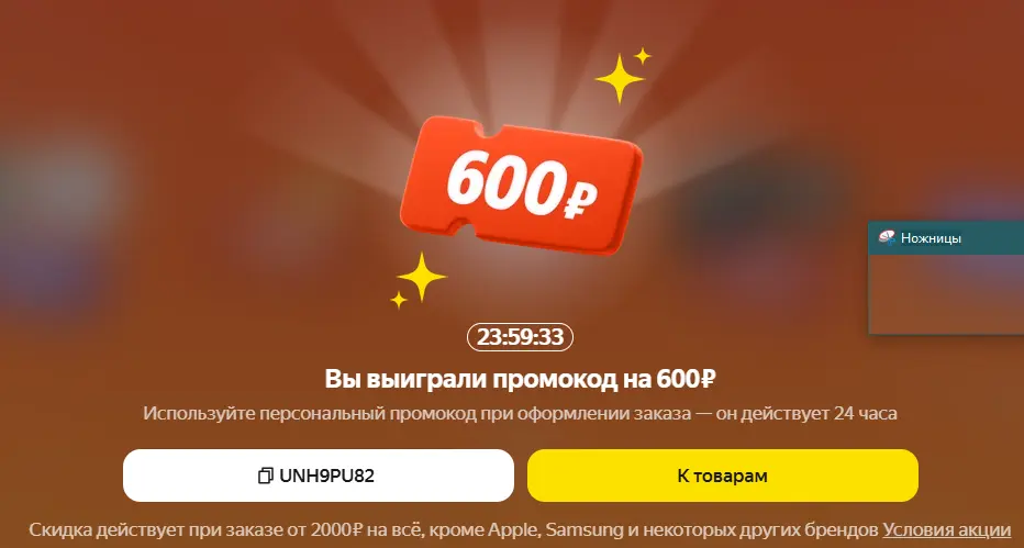 15.webp