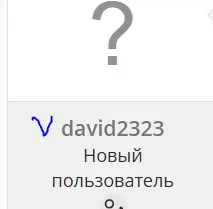 15.webp