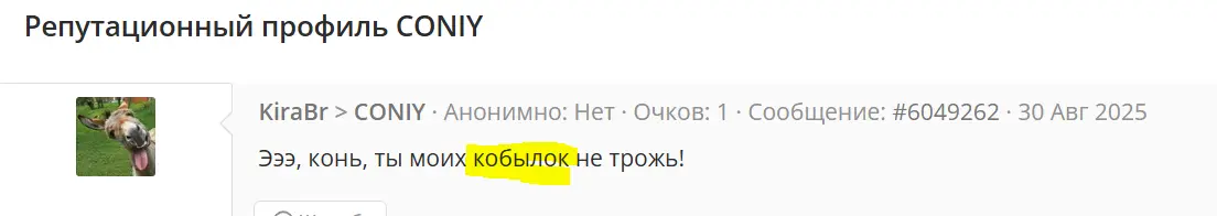 15.webp