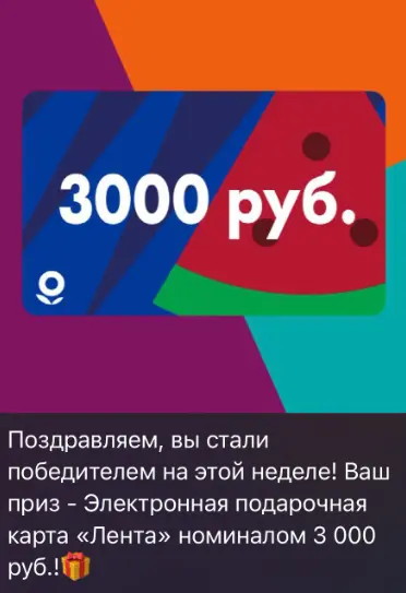 15.webp
