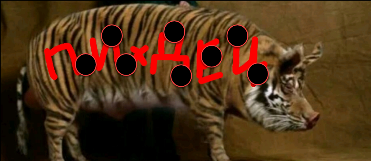 152154.webp