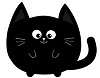 15275823.webp