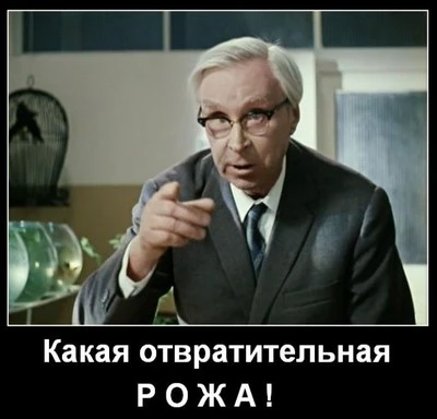 1528985825169946934.webp