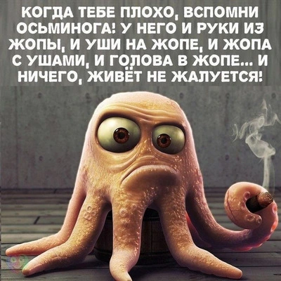 1531685305154596815.webp