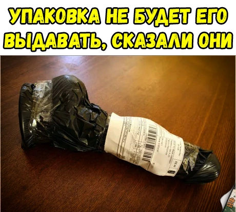 1543174197120013277.webp
