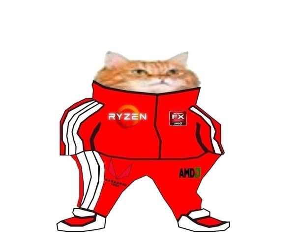 1543338619_iojylv2FIK0.webp