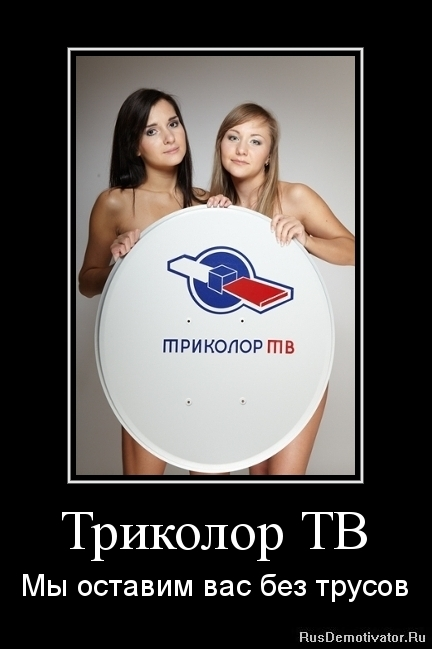 1543851712129896632.webp
