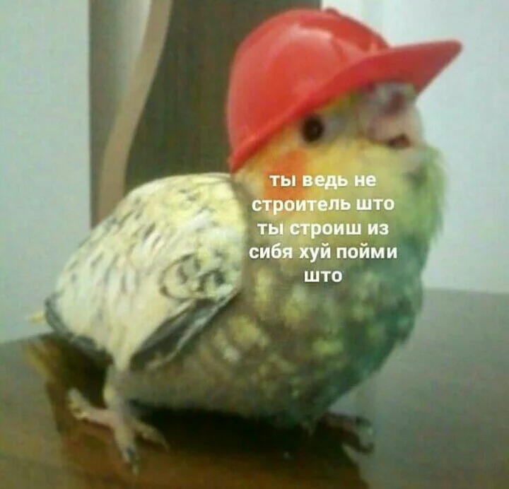 1544908584277.webp