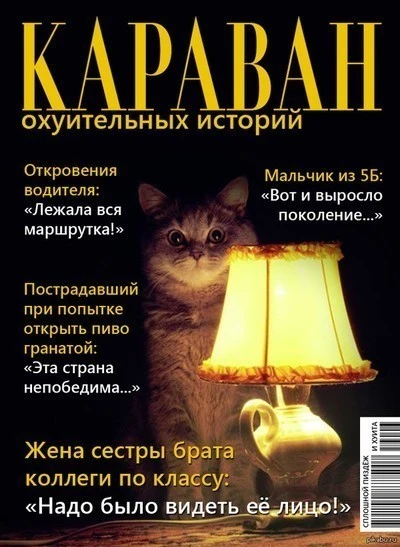 1548100929155529273.webp