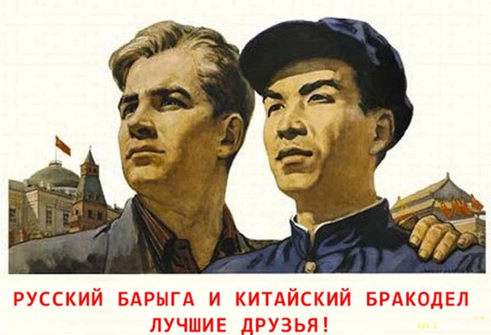 1558026355166022355.webp