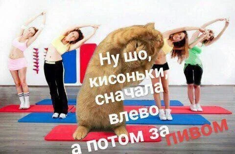 156095873716698413.webp