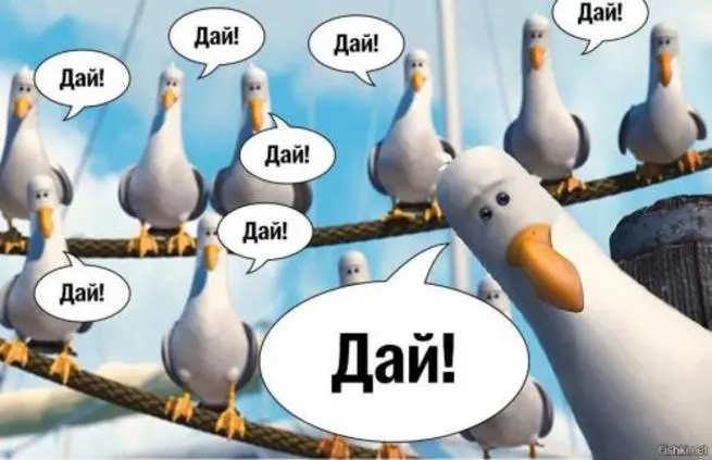 1576775.webp