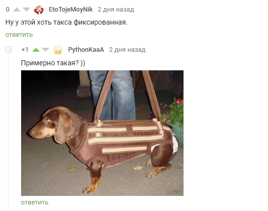 1577330043152623952.webp