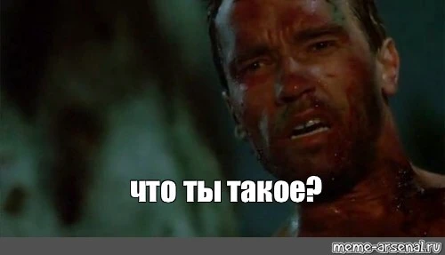 1579582184114618160.webp