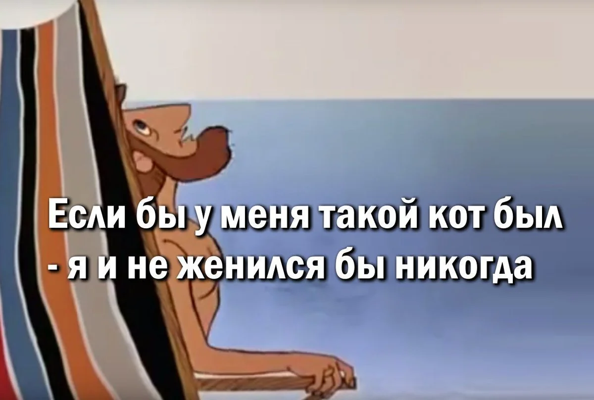 1588144230187175635.webp