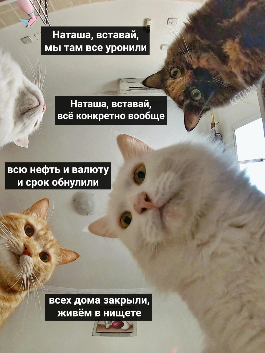 1589829618194724693.webp