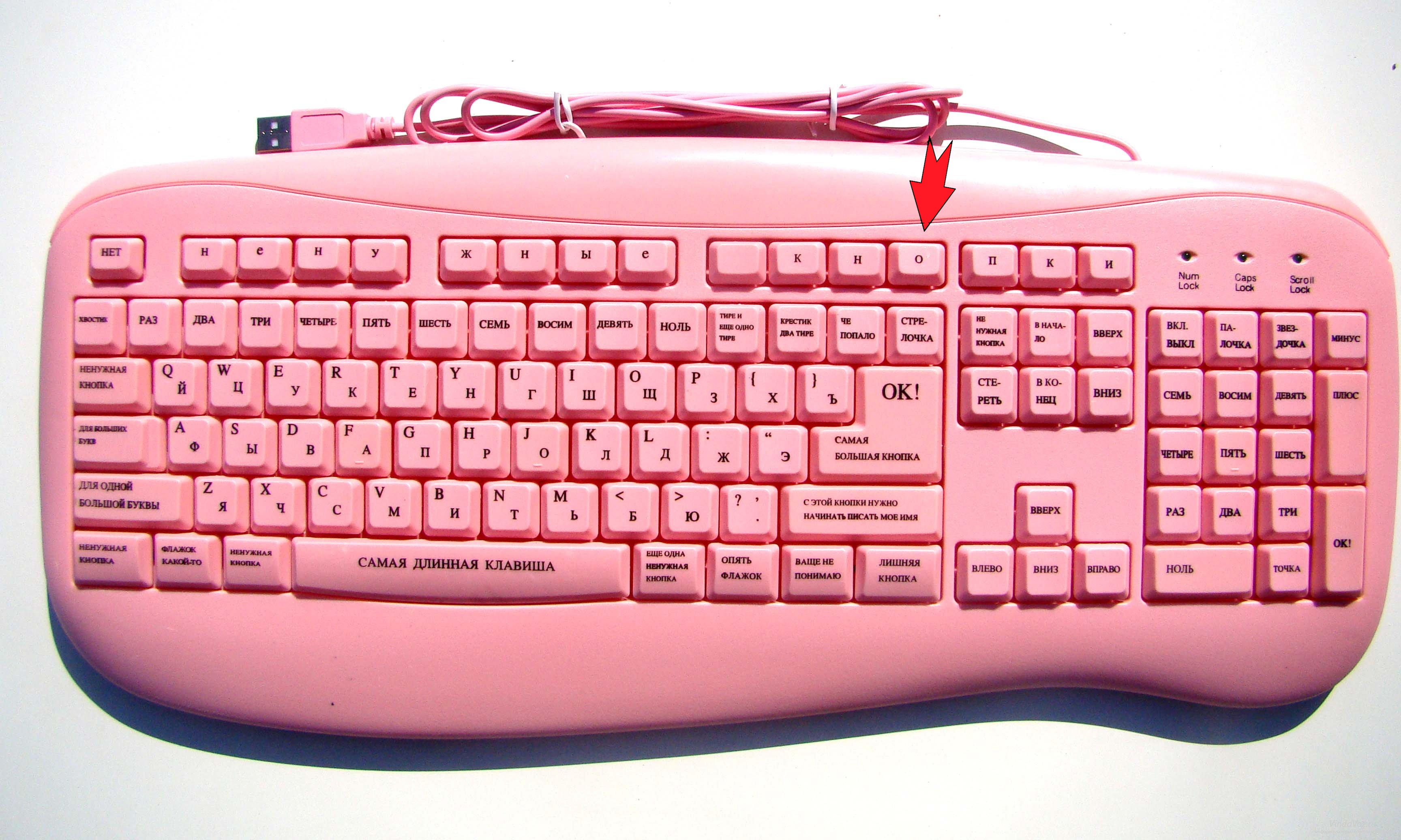 15902209295ec8d881097cd1.17352756.webp