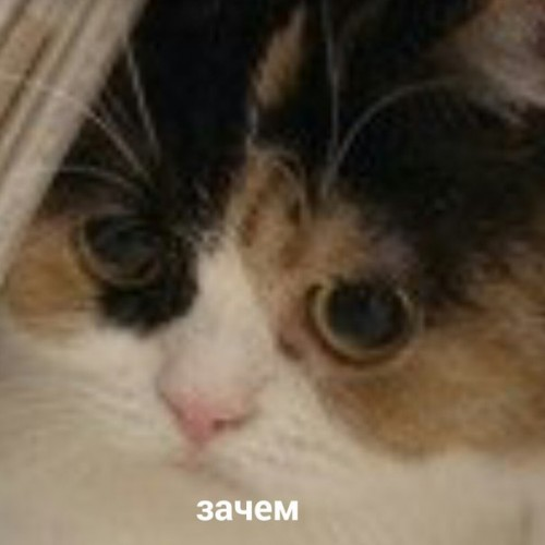 1590661428942.webp