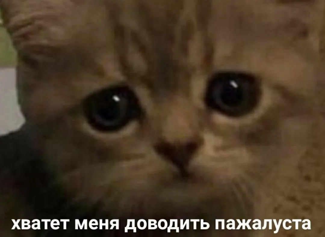15909465601120.webp