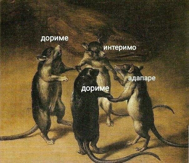 1591733748727.webp