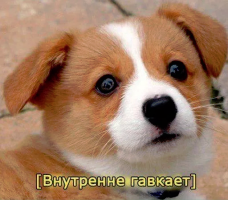 1591743725061.webp