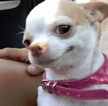 1591805135892.webp