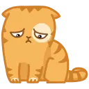 1591910791208.webp
